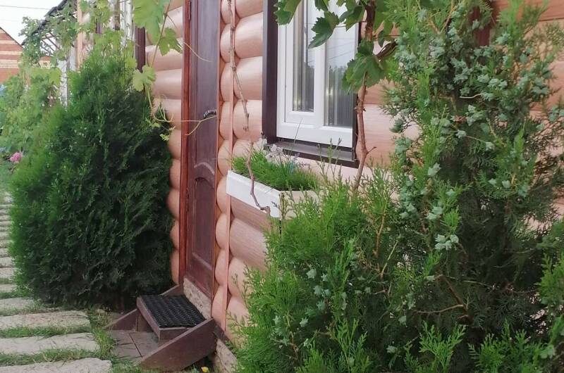 Изображение Изображение гостиницы &quot;Комплекс домиков «Jungle Park»&quot; #10 #8