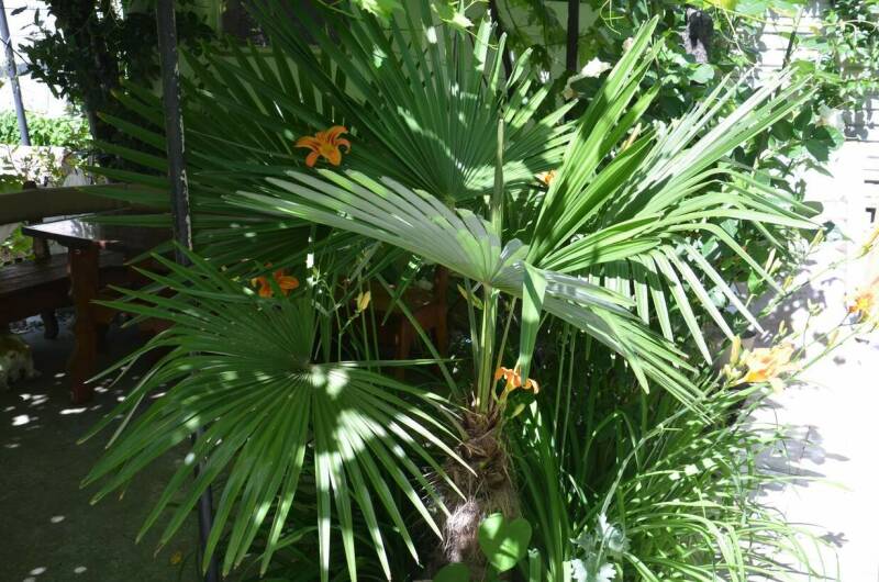 Изображение Изображение гостиницы &quot;Гостевой дом «Na Baglikova 22a»&quot; #5 #3