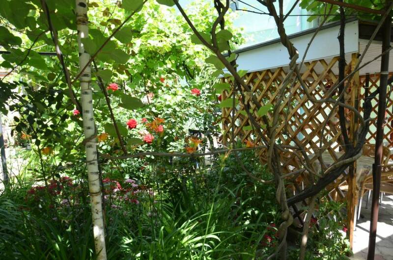 Изображение Изображение гостиницы &quot;Гостевой дом «Na Baglikova 22a»&quot; #9 #7