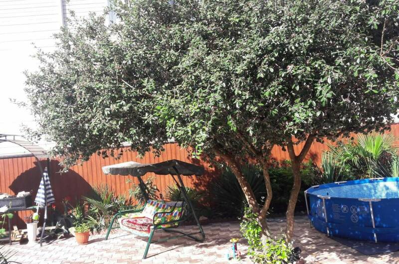 Изображение Изображение гостиницы &quot;Домик для гостей на Богдана Хмельницкого&quot; #5 #3