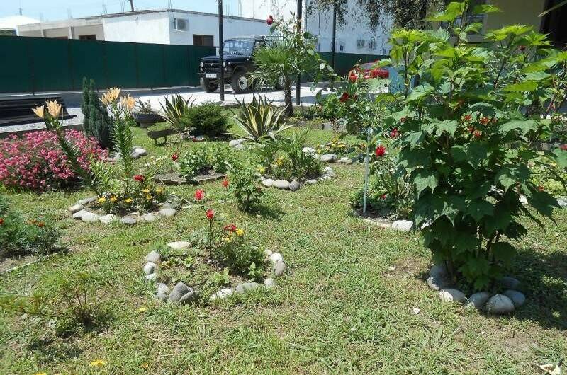 Изображение Изображение гостиницы &quot;Частный сектор «У Анжелы»&quot; #3 #1