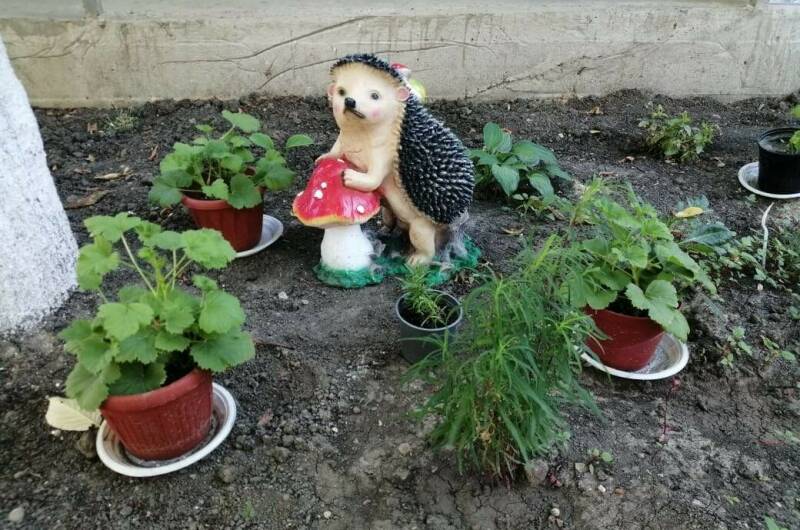 Изображение Изображение гостиницы &quot;Гостевой дом «У Татьяны»&quot; #4 #2