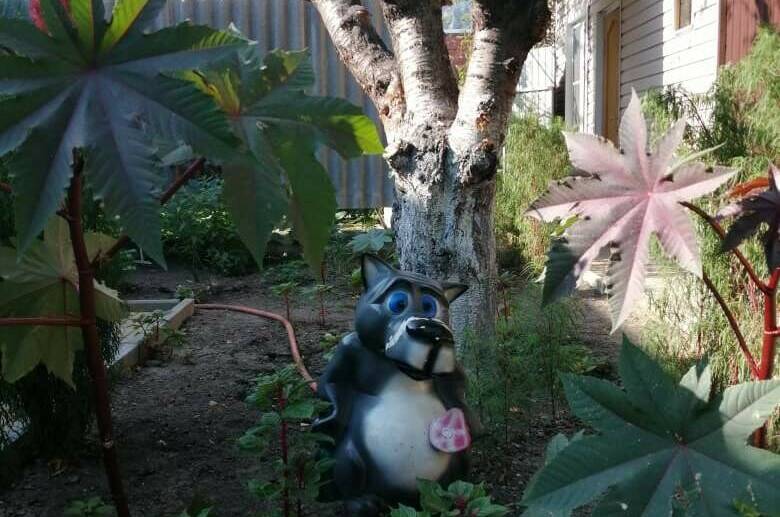 Изображение Изображение гостиницы &quot;Гостевой дом «У Татьяны»&quot; #10 #8