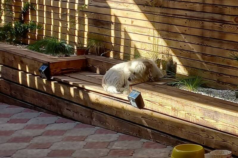 Изображение Изображение гостиницы &quot;Частный сектор «Домовенок»&quot; #5 #3