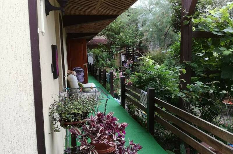 Изображение Изображение гостиницы &quot;Гостевой дом «Аквамарин Ультра»&quot; #6 #4