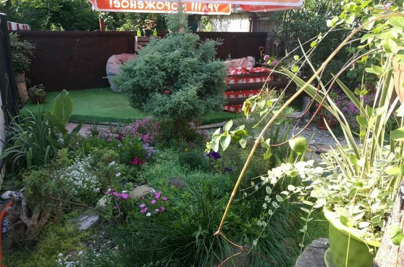 Изображение Изображение гостиницы &quot;Гостевой дом «Аквамарин Ультра»&quot; #10 #8