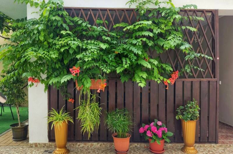 Изображение Изображение гостиницы &quot;Гостевой дом «Одиссей»&quot; #11 #9