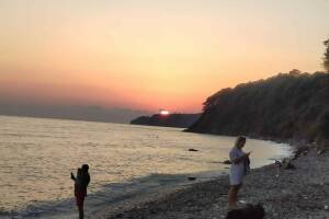 Изображение отеля / гостиницы "База отдыха «Камелия GOLD»"