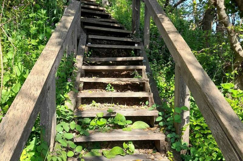 Изображение Изображение гостиницы &quot;База отдыха «Камелия GOLD»&quot; #6 #4