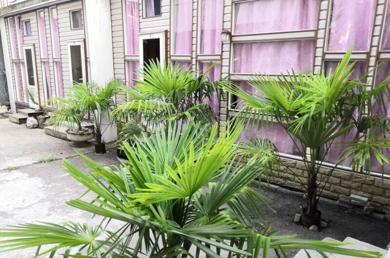 Изображение Изображение гостиницы &quot;Гостевой дом «ТИС-Комфорт»&quot; #4 #2