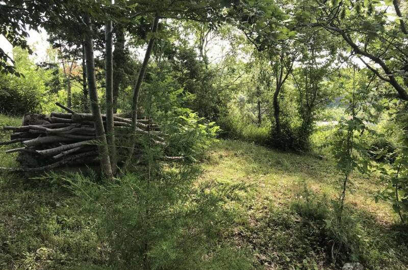 Изображение Изображение гостиницы &quot;Гостевой дом «Mangal-de-Tish»&quot; #11 #9