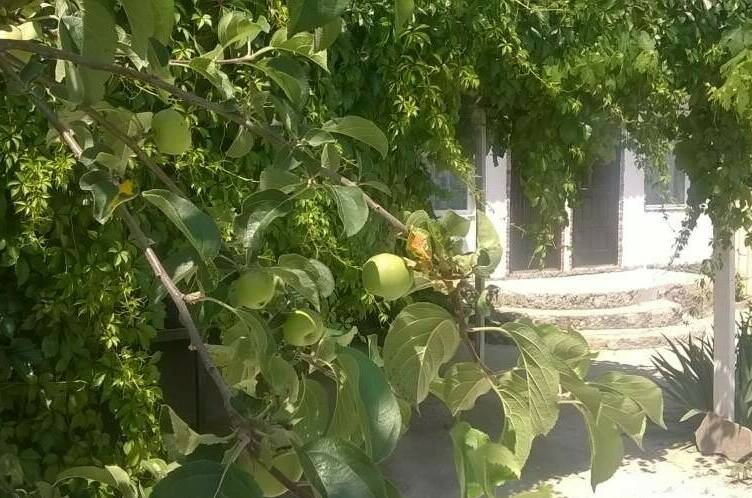 Изображение Изображение квартиры &quot;Двухкомнатный дом&quot; #10 #8