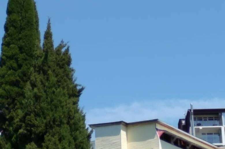 Изображение Изображение гостиницы &quot;Гостевой дом «У Григорича»&quot; #3 #1