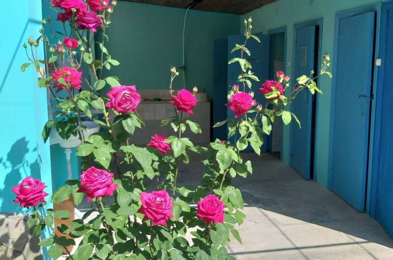 Изображение Изображение гостиницы &quot;Частное домовладение «Глухой 5»&quot; #6 #4