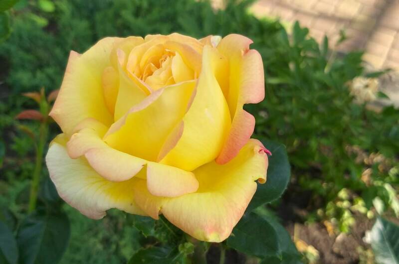 Изображение Изображение гостиницы &quot;Частное домовладение «Глухой 5»&quot; #10 #8