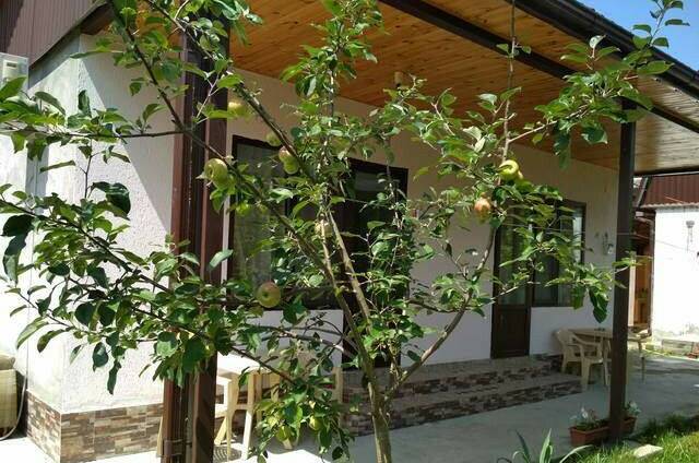 Изображение Изображение гостиницы &quot;Гостевой дом «У Анжелики»&quot; #6 #4