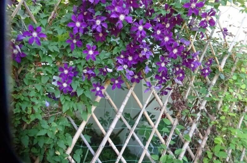 Изображение Изображение гостиницы &quot;Гостевой дом «Постоялый двор»&quot; #6 #4