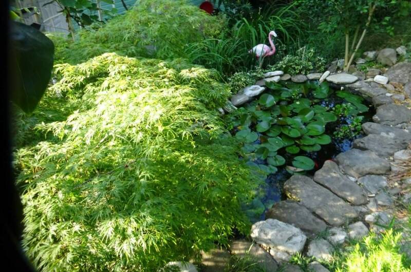 Изображение Изображение гостиницы &quot;Гостевой дом «Постоялый двор»&quot; #10 #8