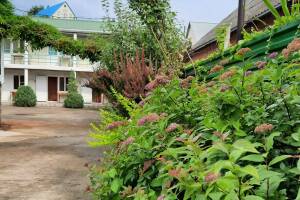 Изображение отеля / гостиницы "Гостевой дом «Киви»"