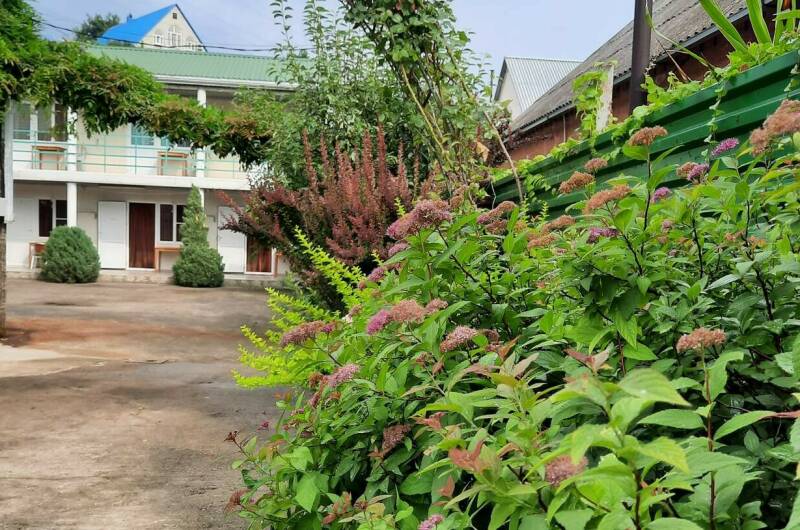 Изображение гостиницы "Гостевой дом «Киви»" #1