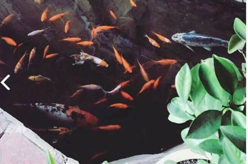 Изображение Изображение гостиницы &quot;Гостевой дом «У Алины»&quot; #8 #6