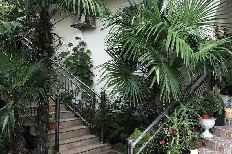 Изображение Изображение гостиницы &quot;Гостевой дом «У Алины»&quot; #10 #8