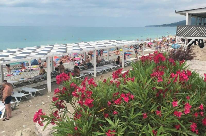 Изображение Изображение гостиницы &quot;Гостевой дом «Адениум»&quot; #3 #1