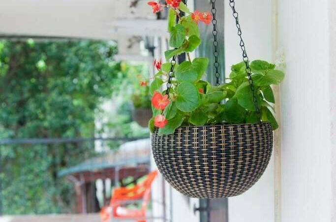 Изображение гостиницы "Гостевой дом «Луна»" #1