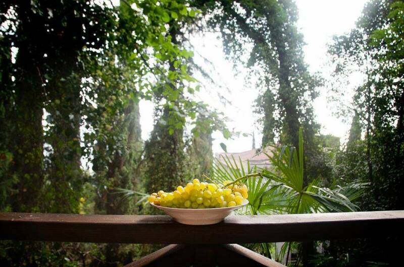 Изображение Изображение гостиницы &quot;Гостевой дом «Луна»&quot; #10 #8