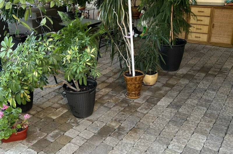 Изображение Изображение гостиницы &quot;Гостевой дом «Марина»&quot; #6 #4