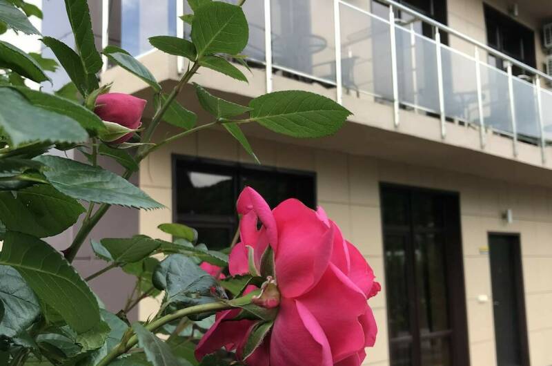 Изображение Изображение гостиницы &quot;Частный дом «Шоколад»&quot; #10 #8