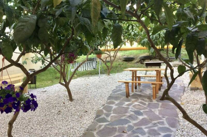 Изображение Изображение гостиницы &quot;Гостевой дом «Пальмовый двор»&quot; #4 #2