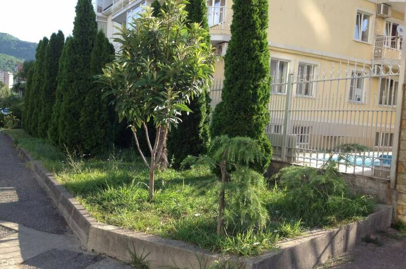 Изображение Изображение гостиницы &quot;Гостевой дом на Согласия&quot; #5 #3