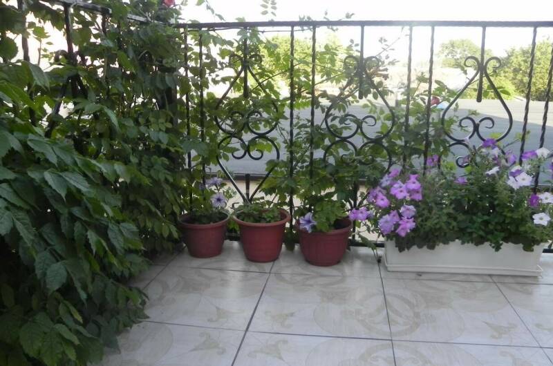 Изображение Изображение гостиницы &quot;Гостевой дом «Лагрейн»&quot; #9 #7