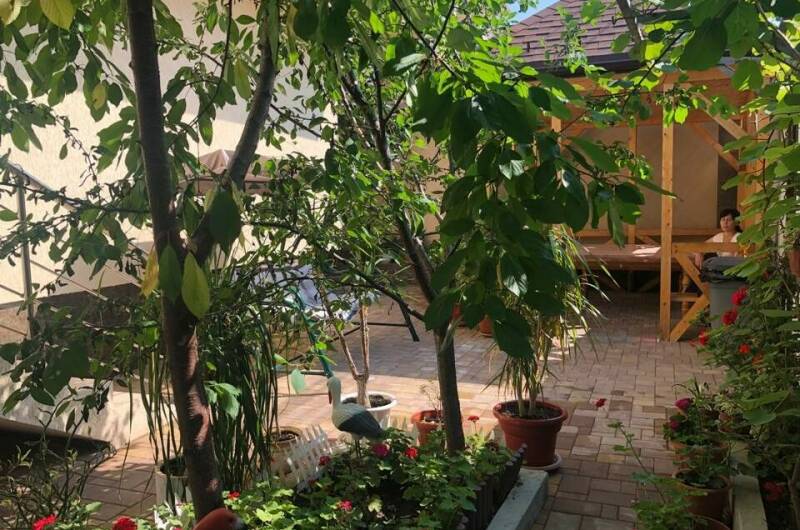 Изображение Изображение гостиницы &quot;Гостевой дом «Ксения»&quot; #7 #5