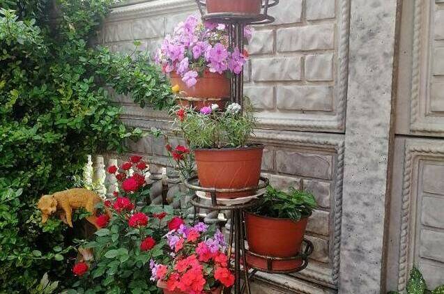 Изображение Изображение гостиницы &quot;Частный сектор «Лидия»&quot; #11 #9