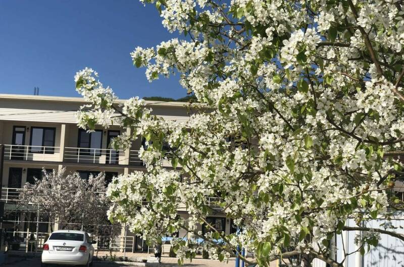 Изображение Изображение гостиницы &quot;Гостевой дом «Атмосфера»&quot; #7 #5