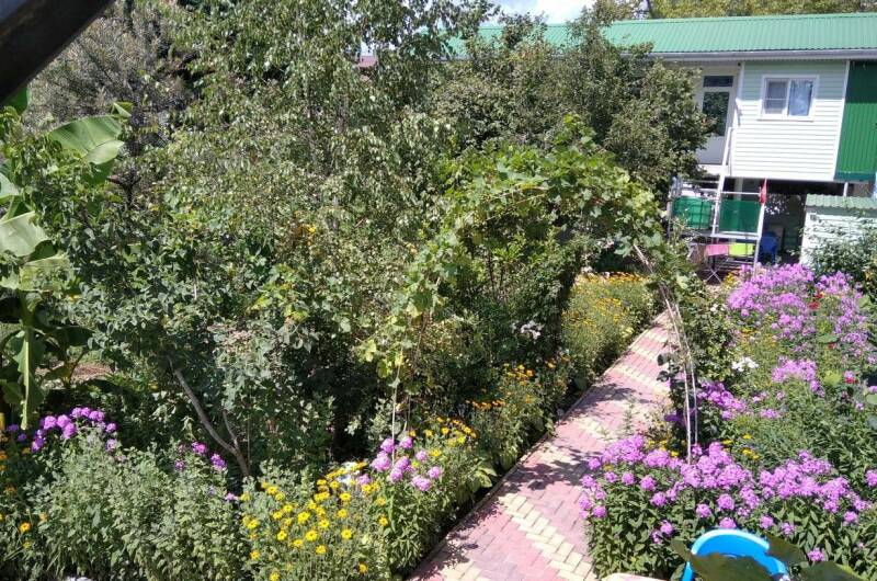 Изображение Изображение гостиницы &quot;Гостевой дом «Юкка»&quot; #6 #4