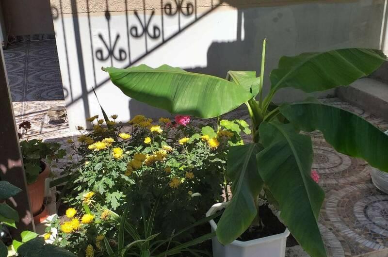 Изображение Изображение квартиры &quot;Этаж под ключ «Марина»&quot; #7 #5