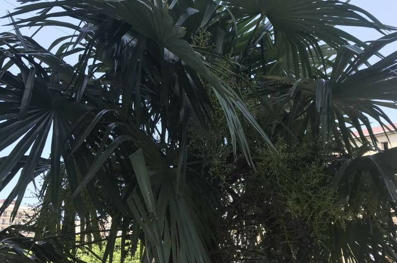 Изображение Изображение квартиры &quot;Двухкомнатная квартира&quot; #4 #2