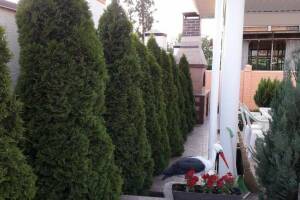 Изображение квартиры / апартамента "Трехкомнатные апартаменты на Зеленой"