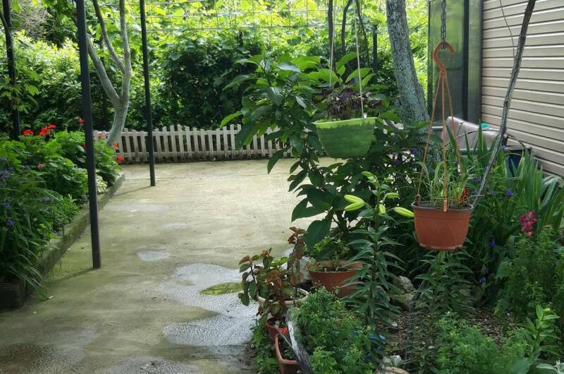 Изображение Изображение гостиницы &quot;Гостевой дом «В гостях у Сюзанны»&quot; #3 #1