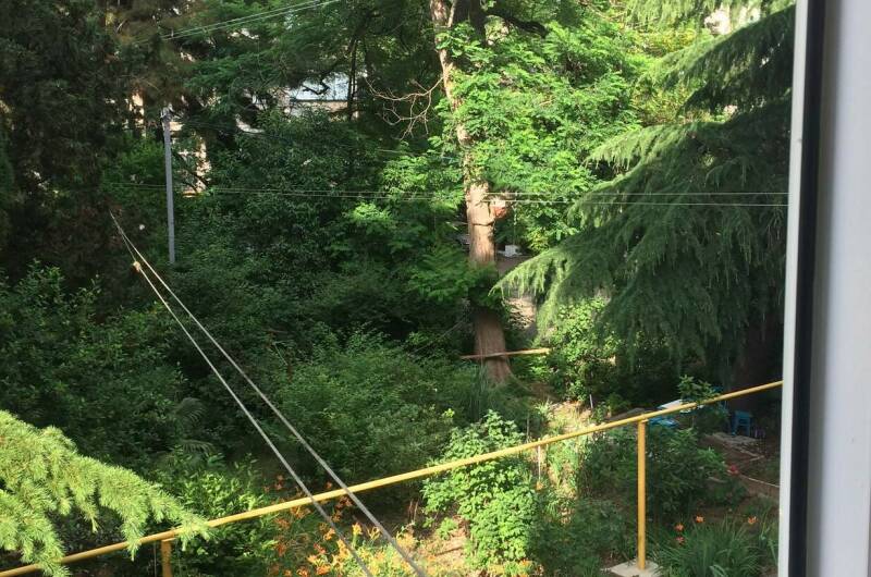 Изображение Изображение квартиры &quot;3-х комнатная квартира&quot; #3 #1