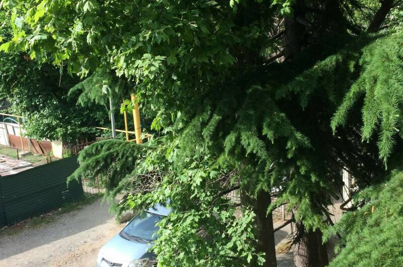 Изображение Изображение квартиры &quot;3-х комнатная квартира&quot; #4 #2