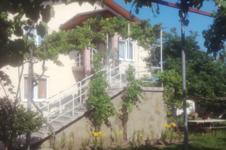 Изображение гостиницы "Гостевой дом «Мандариновый рай»" #1