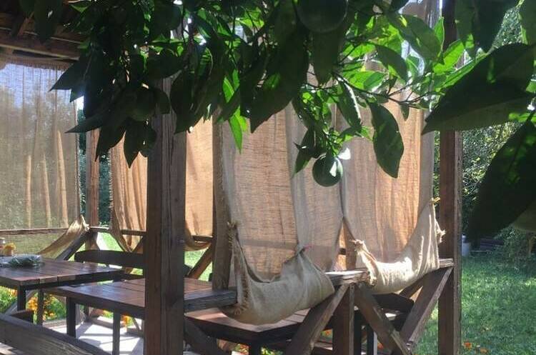 Изображение Изображение гостиницы &quot;Гостевой дом «Мандариновый рай»&quot; #3 #1