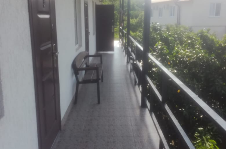 Изображение Изображение гостиницы &quot;Гостевой дом «Мандариновый рай»&quot; #5 #3