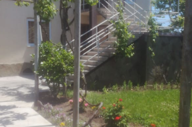 Изображение Изображение гостиницы &quot;Гостевой дом «Мандариновый рай»&quot; #11 #9