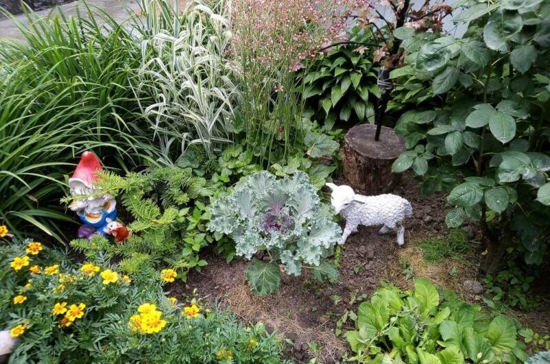 Изображение Изображение гостиницы &quot;Гостевой дом «Зеленый дворик на Черноморской»&quot; #7 #5