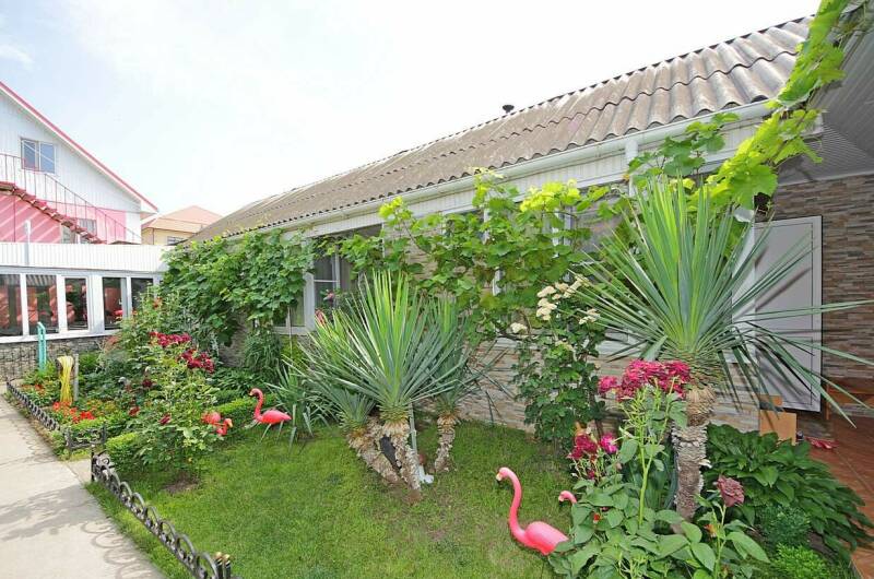 Изображение Изображение гостиницы &quot;Гостевой дом «Зеленый дворик на Черноморской»&quot; #8 #6